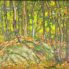 Bush - Amour TWP, Parry Sound