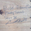 Bush - Amour TWP, Parry Sound