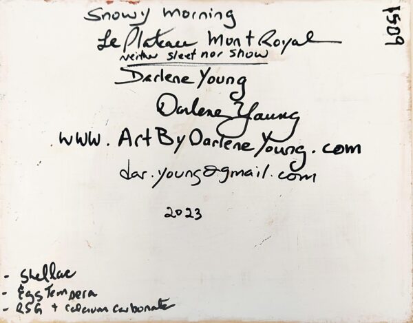 Darlene Young Le Plateau Winter Day Snowy Morning Le Plateau Mont Royal
