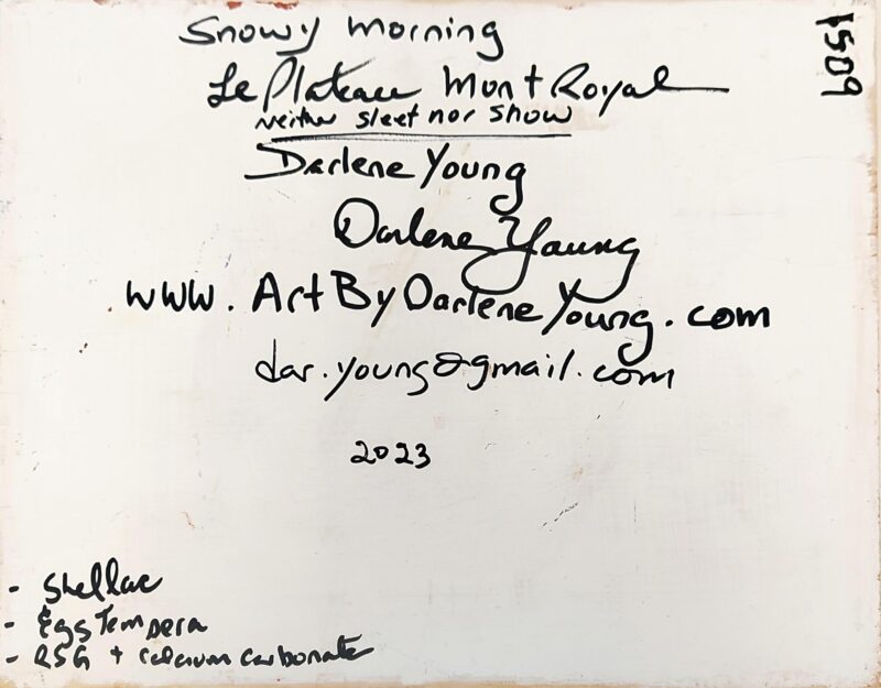 Darlene Young Le Plateau Winter Day Snowy Morning Le Plateau Mont Royal