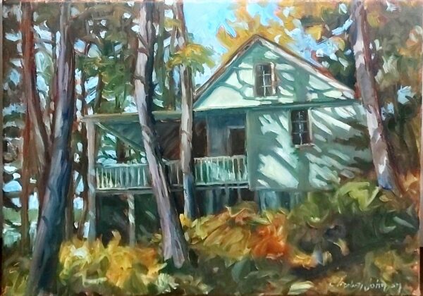 Elizabeth Johnson Hayhurst Cottage on Canoe Lake, AP Cottage on Canoe Lake, Hayhurst 1911