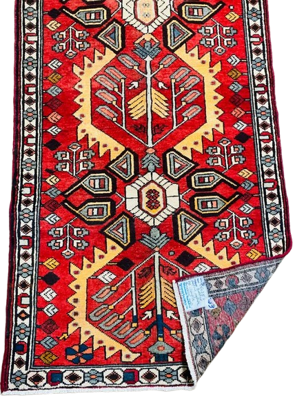 600249105_1269269328345730_735935337854359351_n-removebg-preview Origin "Bakhtiyar" Hand Knotted Sheep Wool Persian Rug Vegetable Dyes Geometric Pattern 9'10" X 3'5"