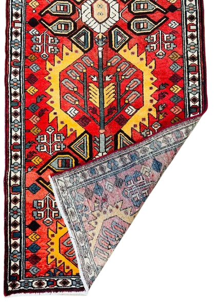 601198875_857769950447920_6990882755025795908_n-removebg-preview Origin "Bakhtiyar" Hand Knotted Sheep Wool Persian Rug Vegetable Dyes Geometric Pattern 9'10" X 3'5"