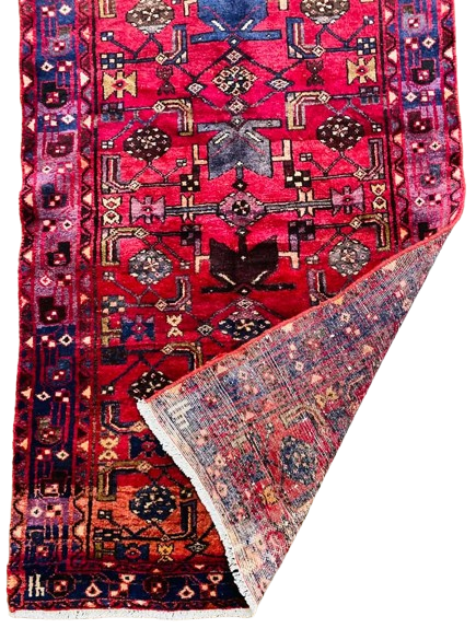 601339321_1386953953155715_2396799360305802186_n-removebg-preview Origin "Hamedan" Hand Knotted Sheep Wool Persian Rug Natural Dyes with Geometric and Floral Patterns 10'10" X 3'5"