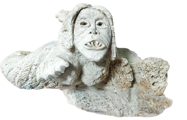 Unknown (Sedna)