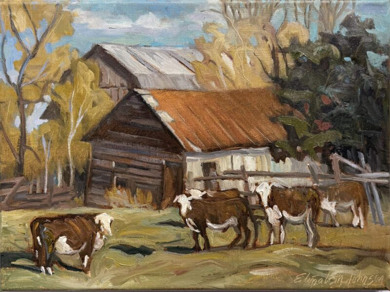 Cows in Lanark County