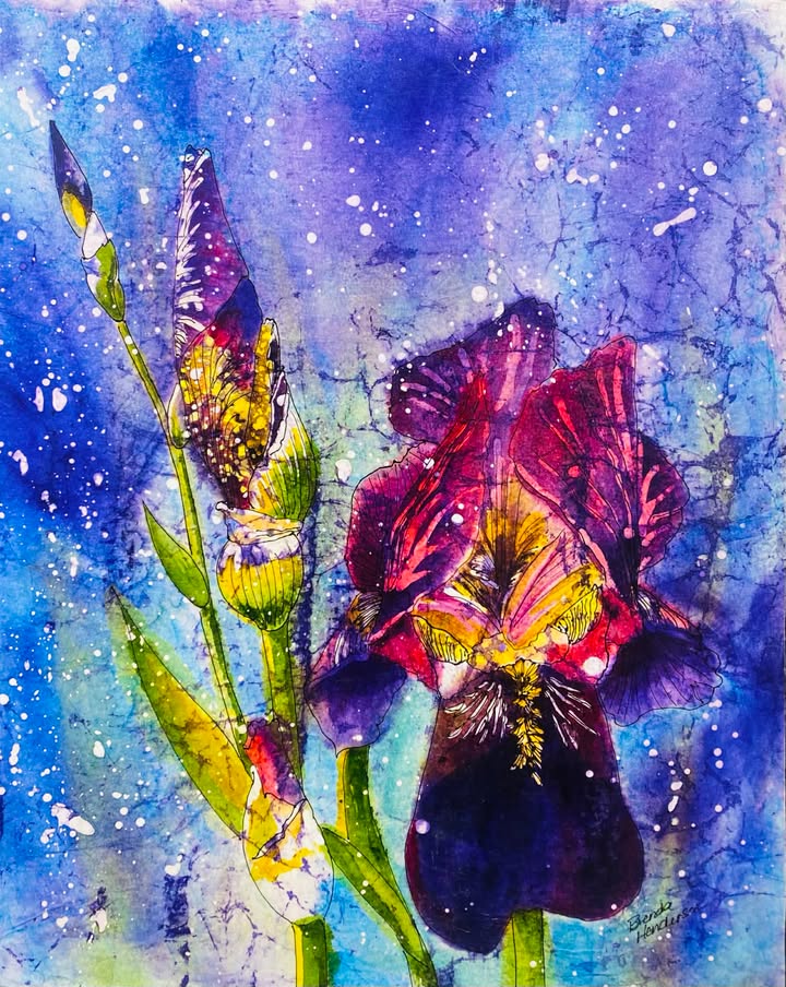 Spring Iris