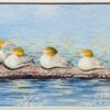 Family of Five