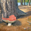 Russula by Moore Lake