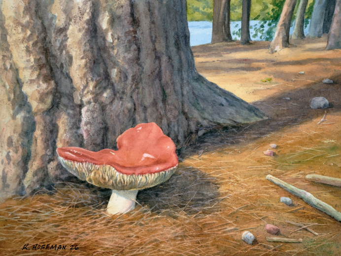 Russula by Moore Lake