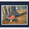 Russula by Moore Lake