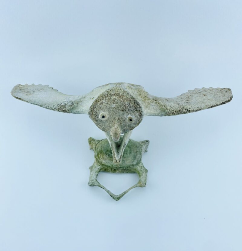 Owl In Flight #1