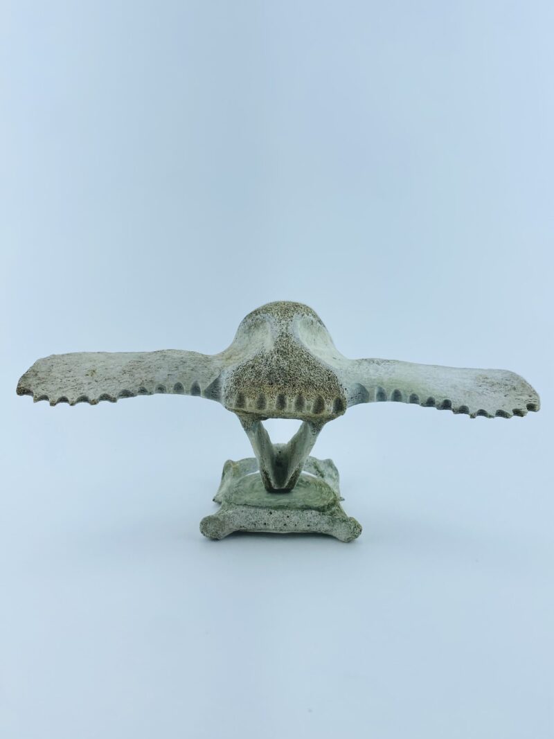 Owl In Flight #1