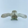 Owl In Flight #1