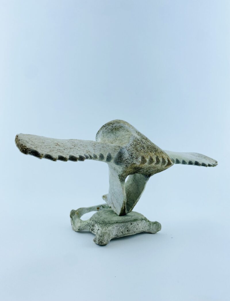 Owl In Flight #1
