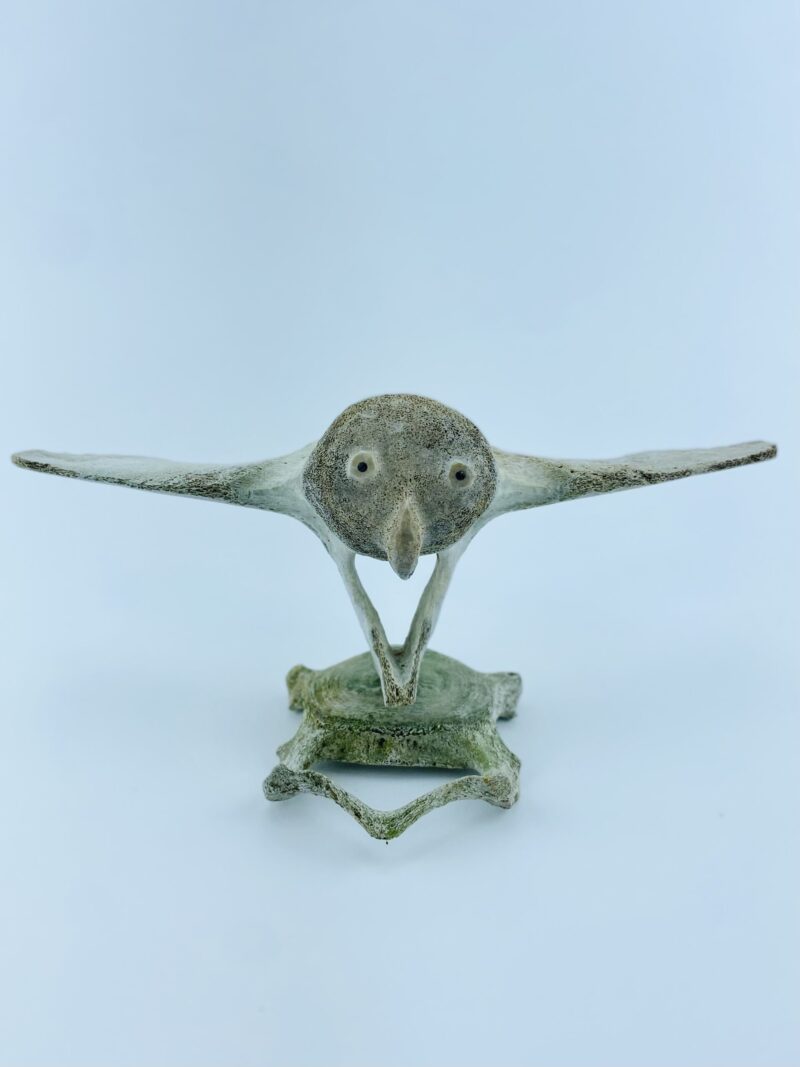 Owl In Flight #1