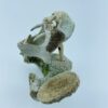 Sea Spirit Drummer