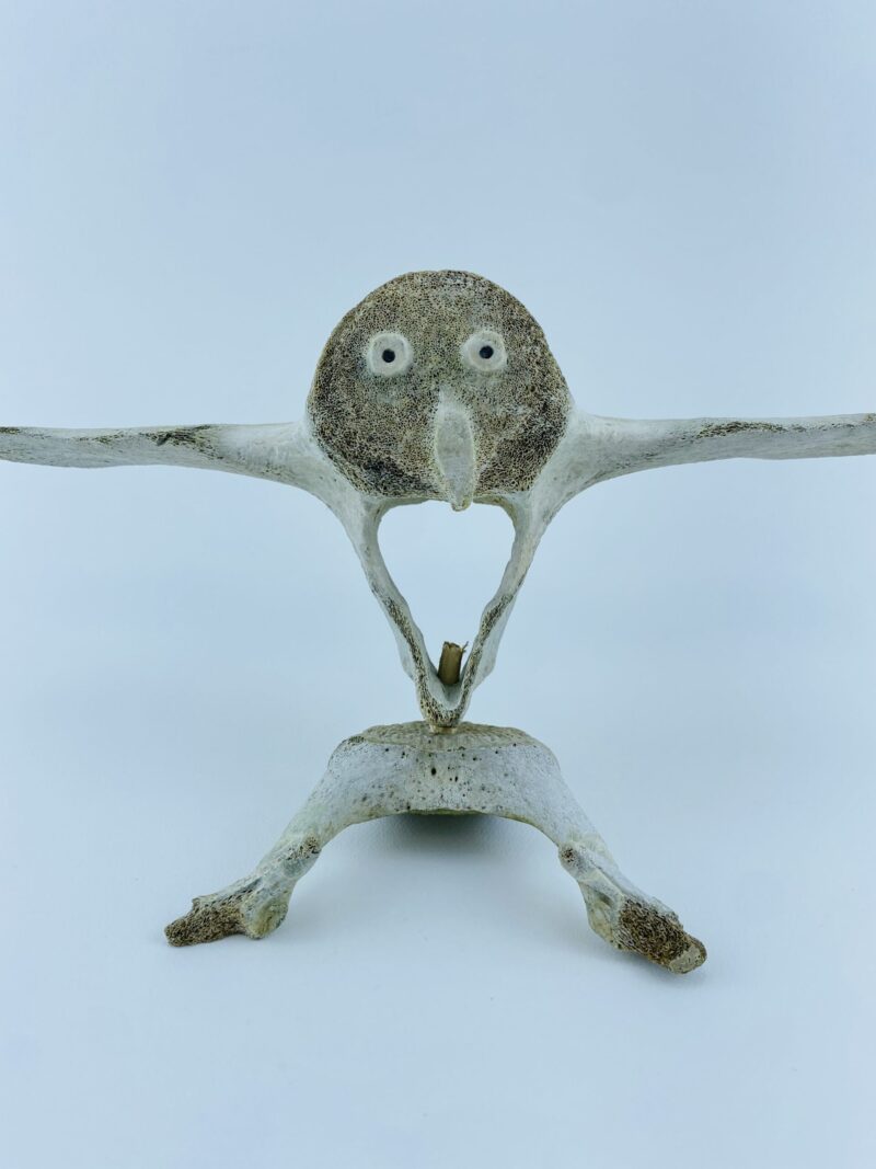 Owl In Flight #2