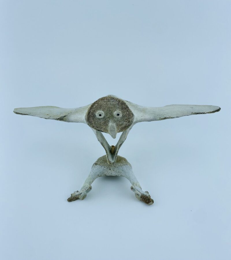 Owl In Flight #2