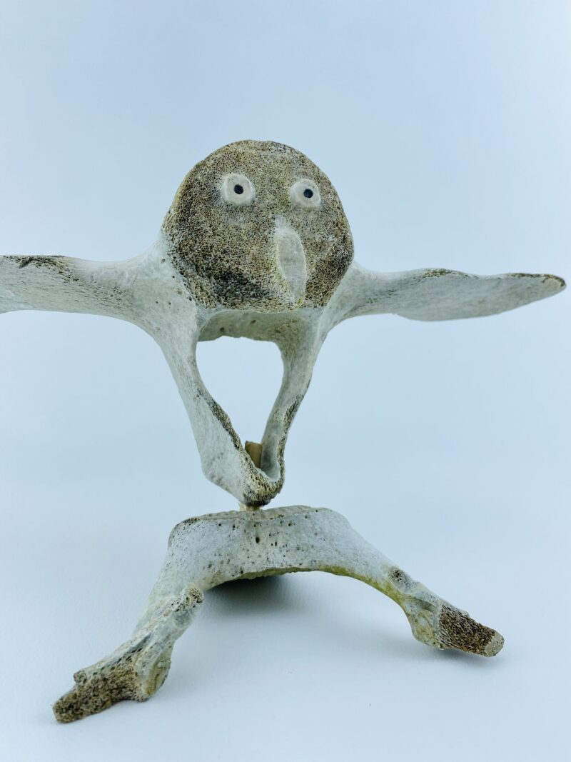 Owl In Flight #2