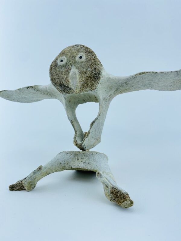 Owl In Flight #2