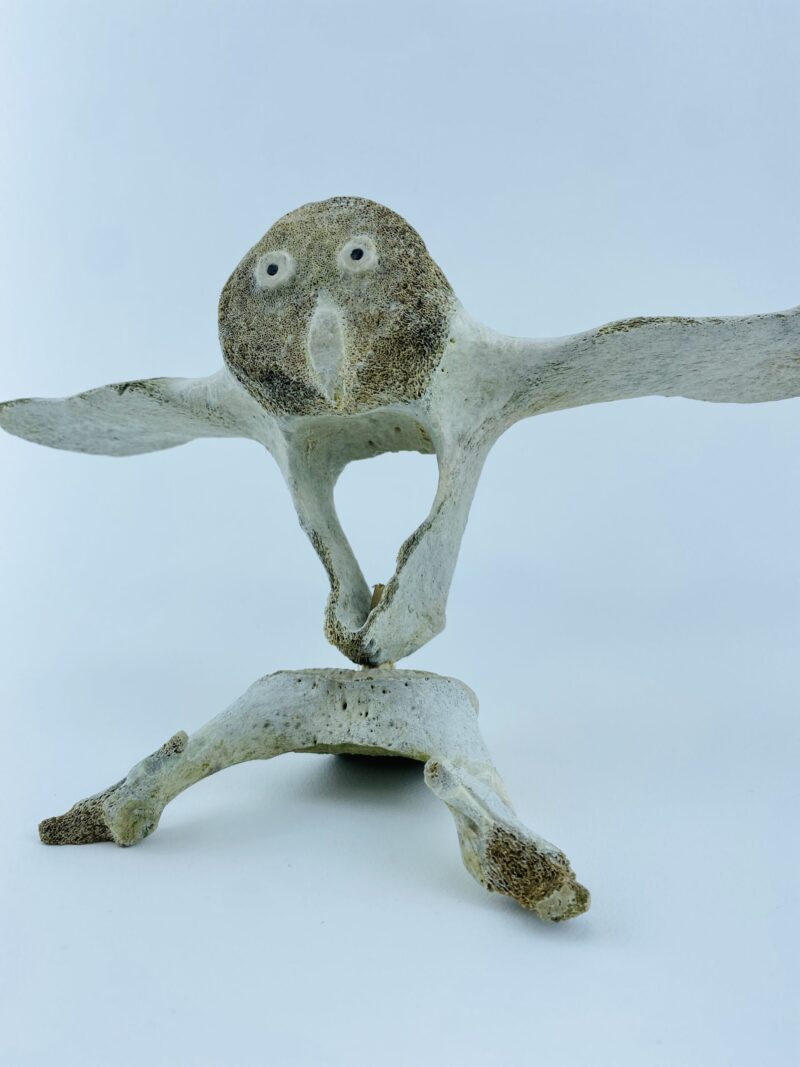 Owl In Flight #2