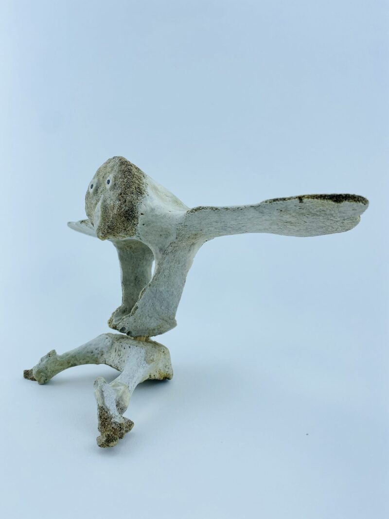 Owl In Flight #2