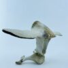 Owl In Flight #2