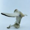 Owl In Flight #2