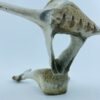 Owl In Flight #2