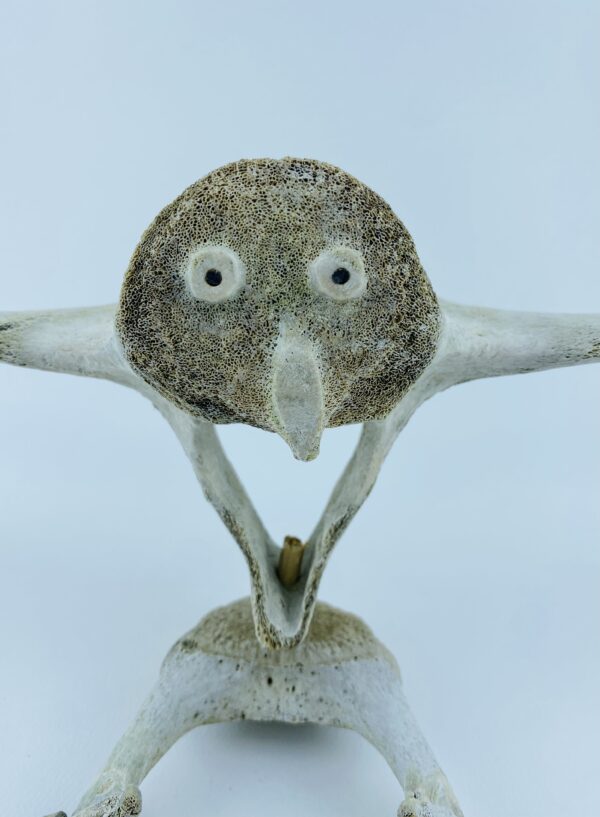 Owl In Flight #2