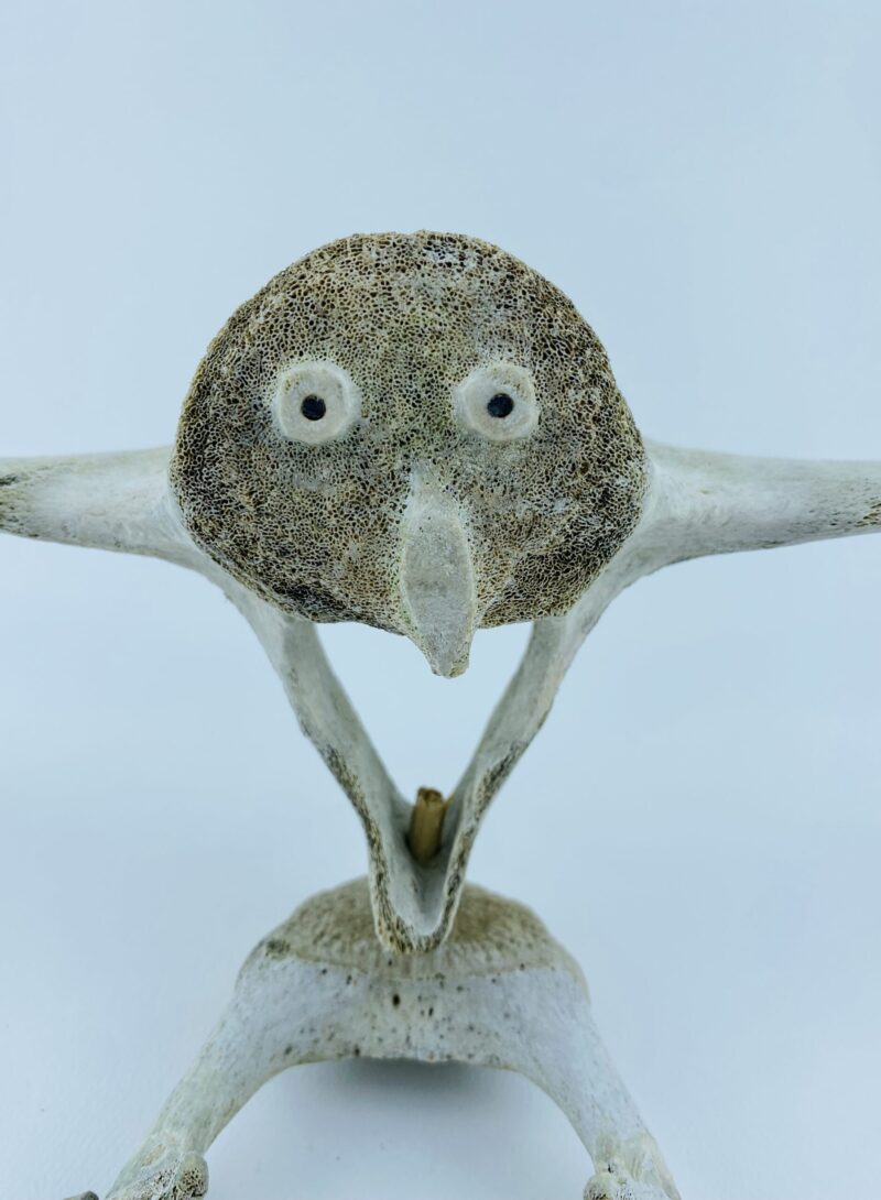 Owl In Flight #2