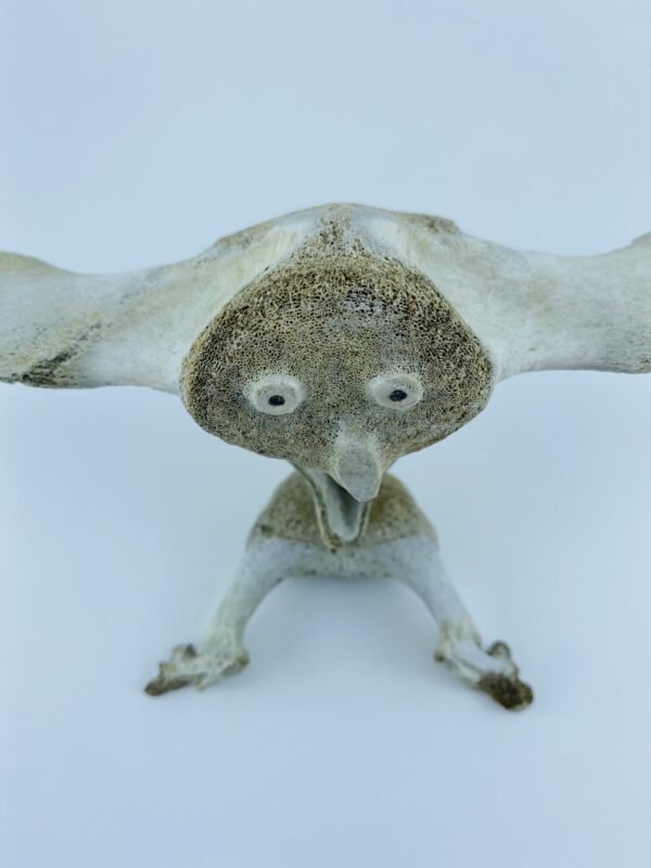 Owl In Flight #2