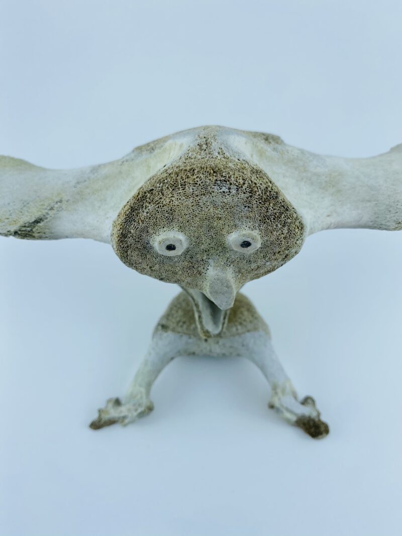 Owl In Flight #2