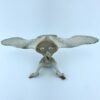 Owl In Flight #2