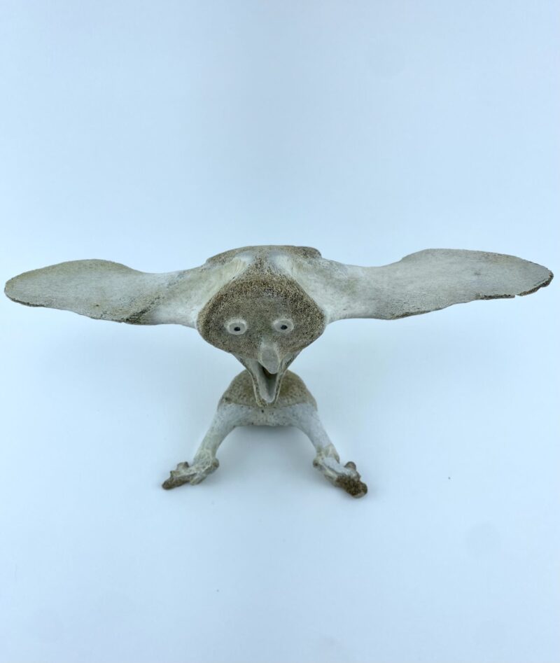 Owl In Flight #2