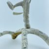 Inuit Drummer