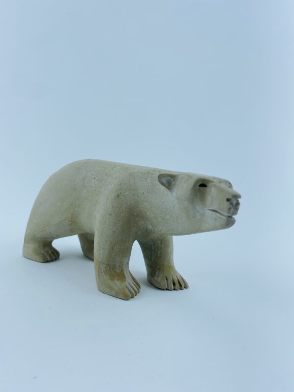 Polar Bear