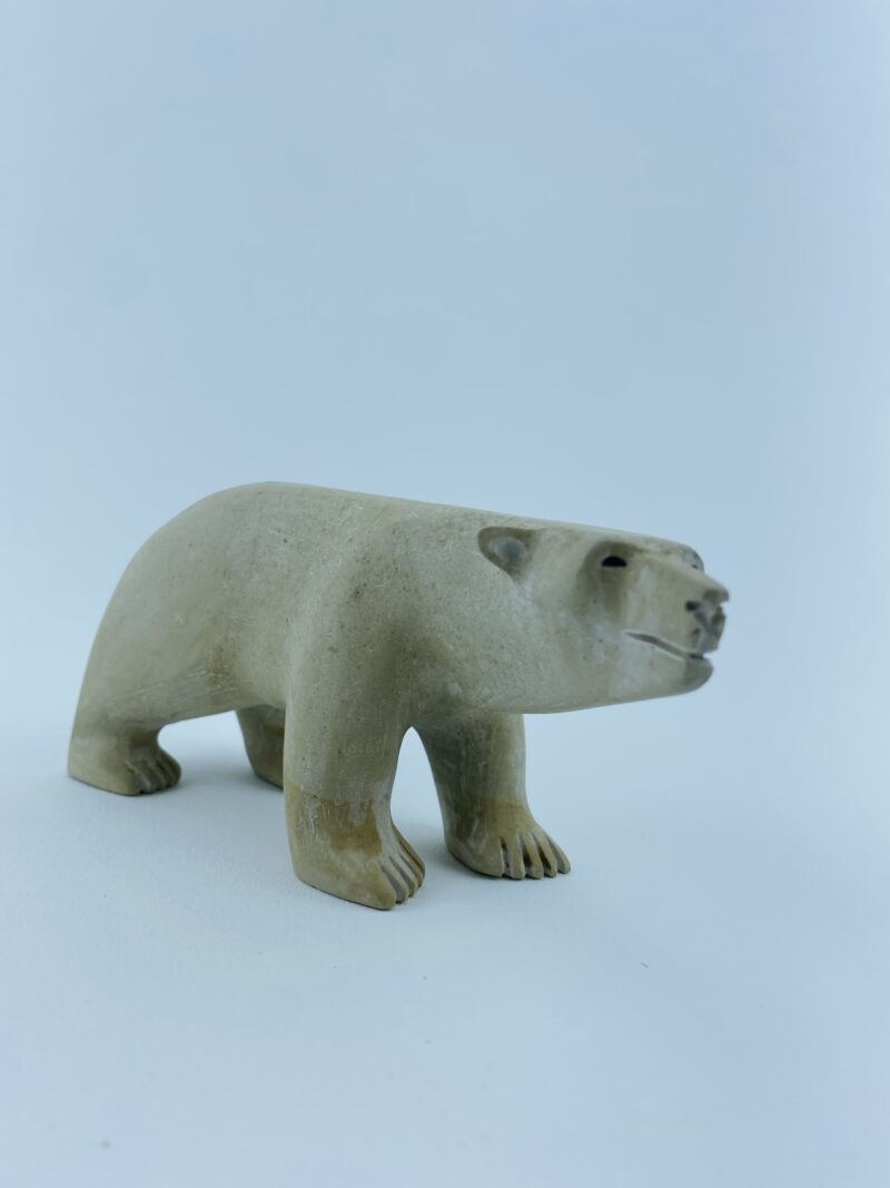 Polar Bear