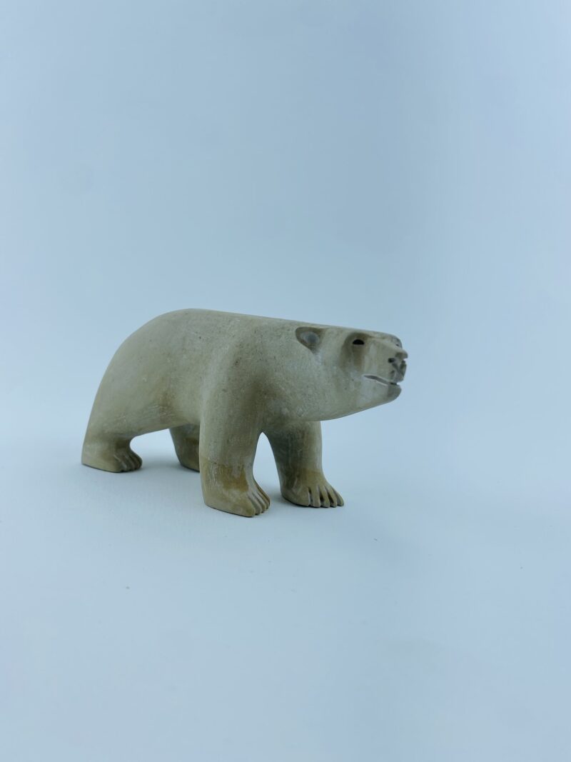 Polar Bear
