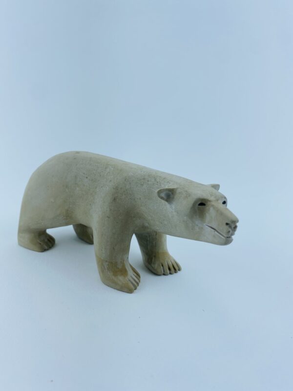 Polar Bear