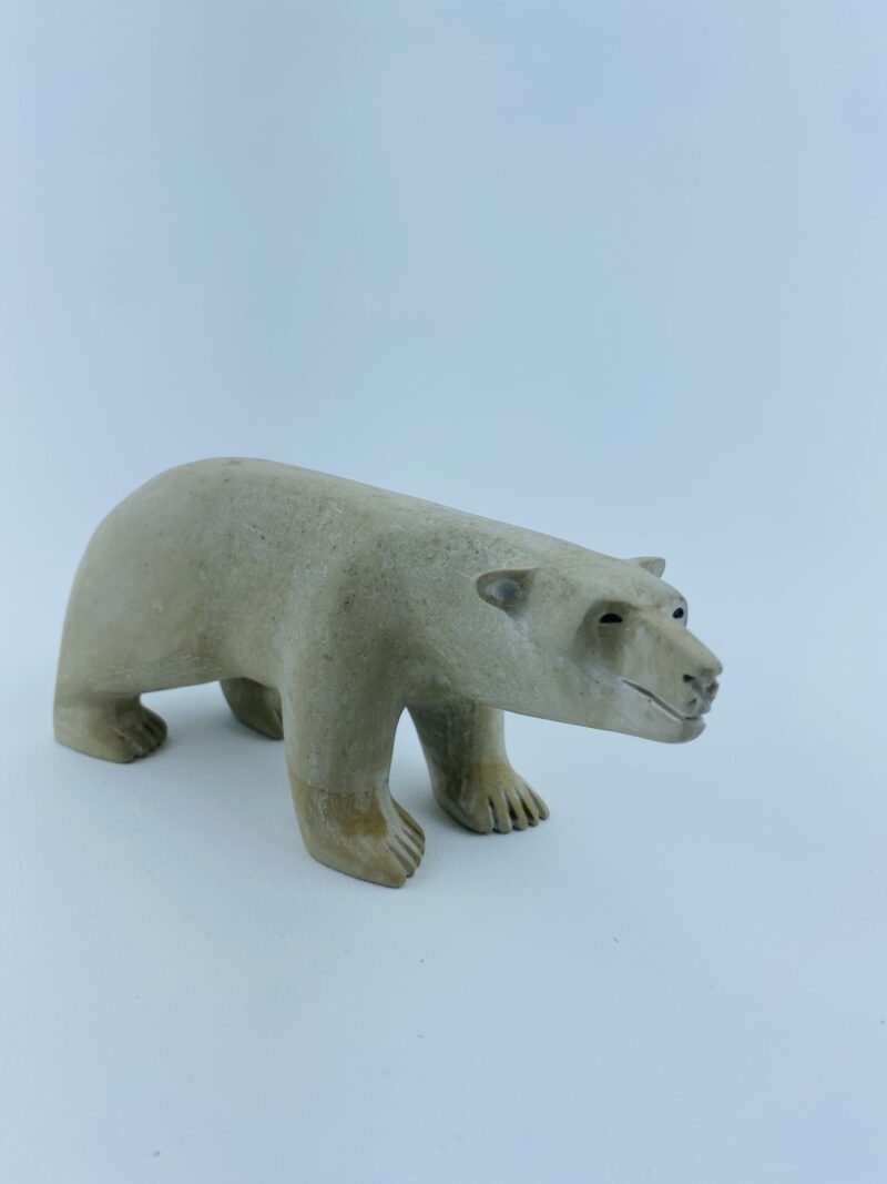 Polar Bear