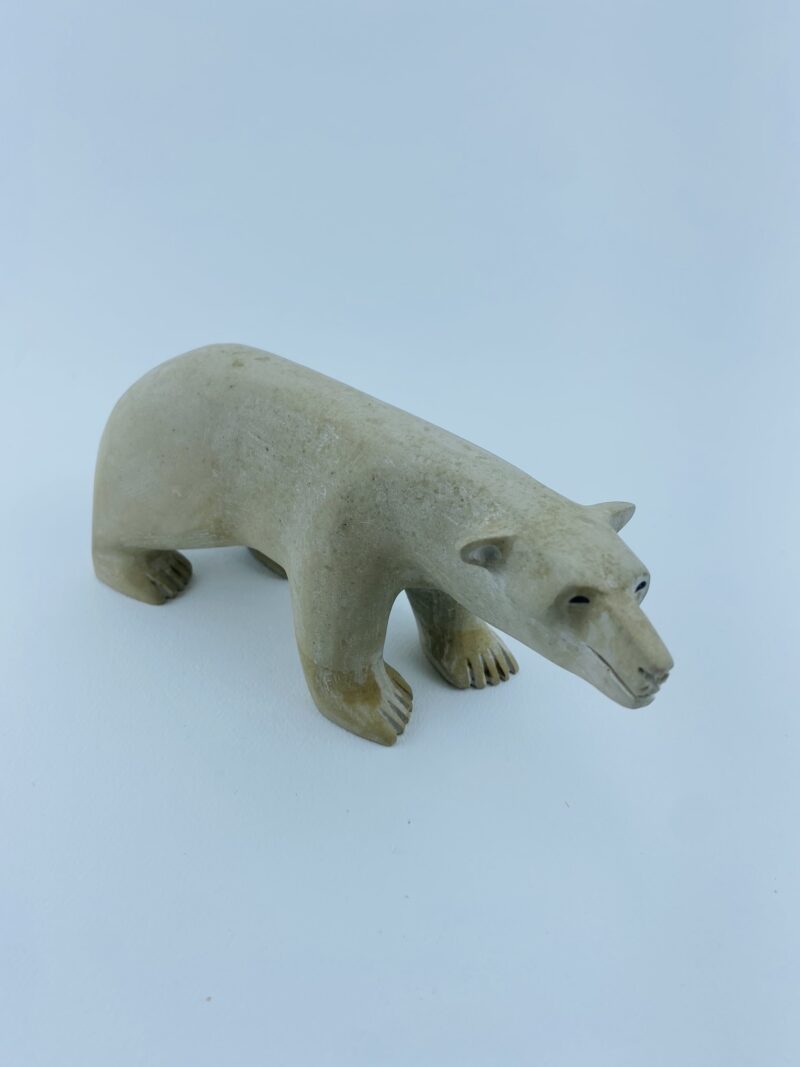 Polar Bear