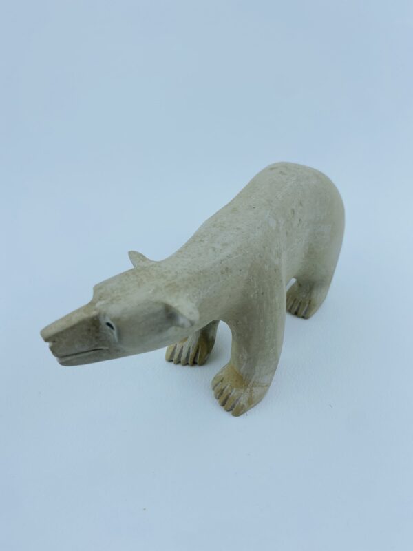 Polar Bear
