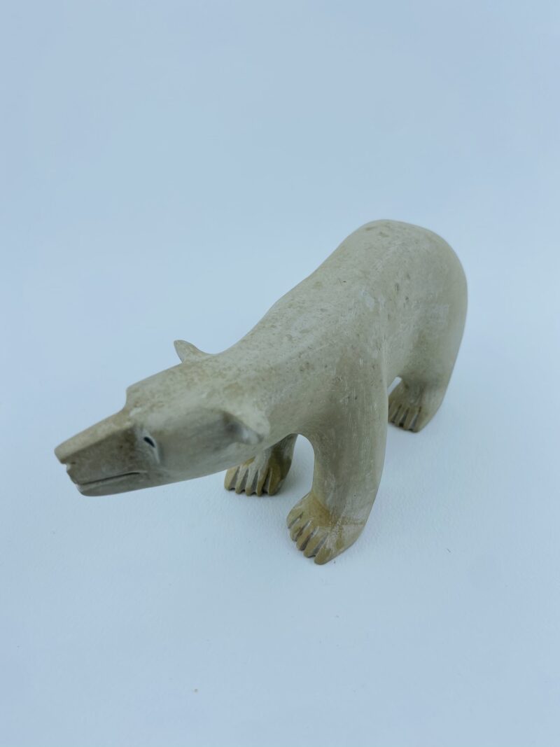 Polar Bear