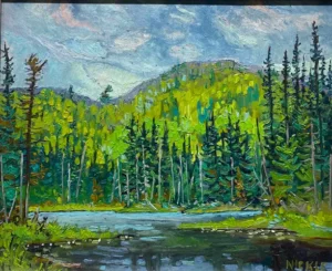 706780147_1101675166370290_926044094477014547_n 2000 Beaver Flats, Magnetawan