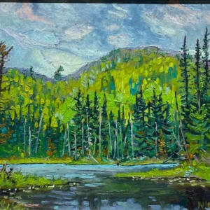2000 Beaver Flats, Magnetawan