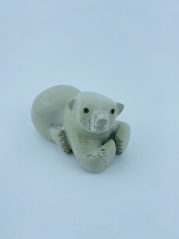Resting Cub - Toonoo Sharky ᑐᓄ ᓴᑭ