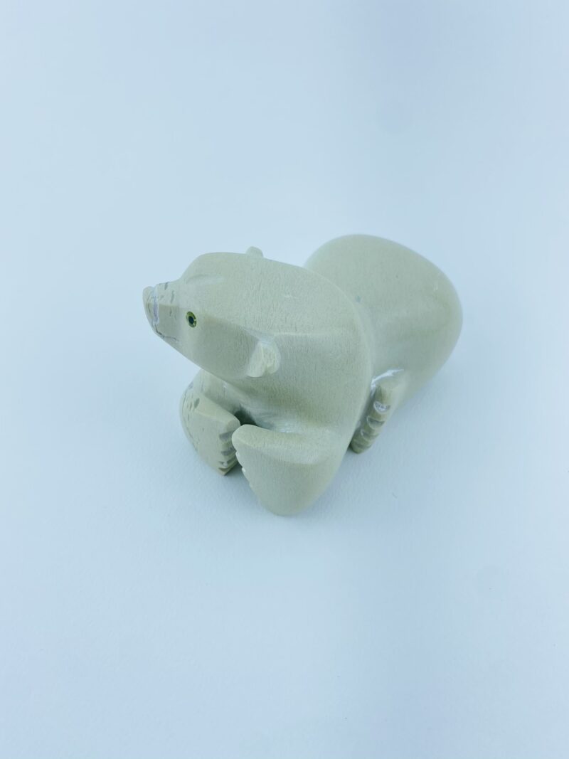 Resting Cub - Toonoo Sharky ᑐᓄ ᓴᑭ