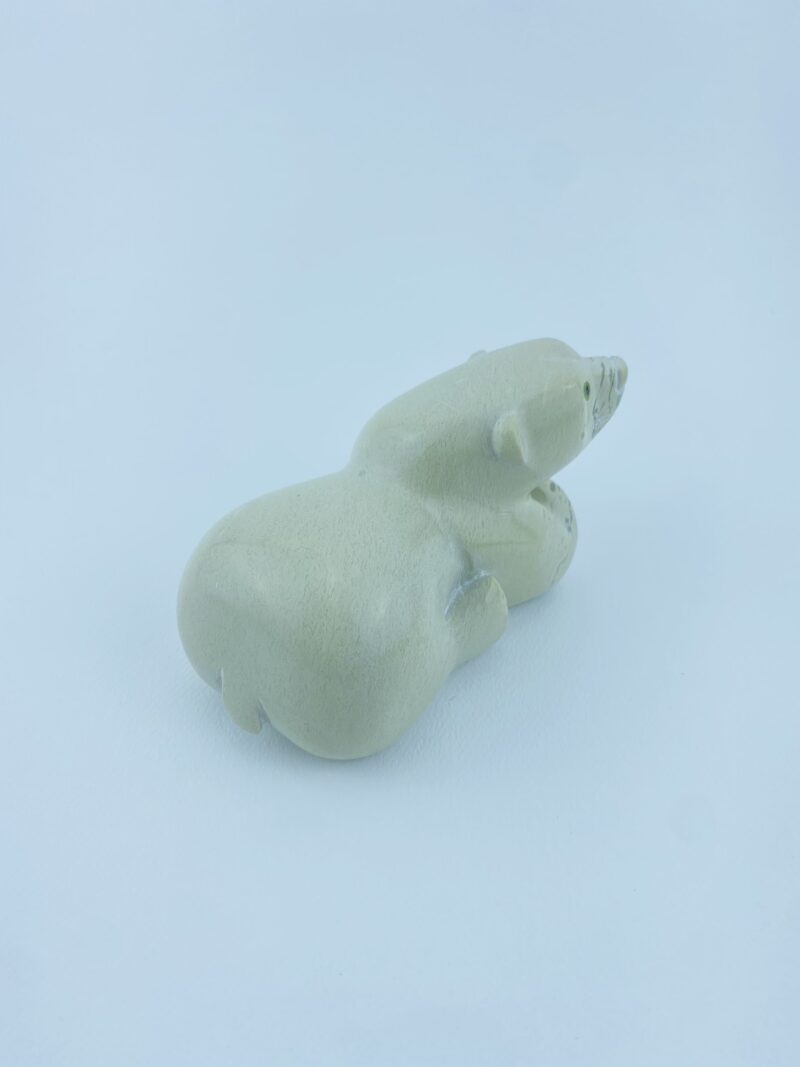 Resting Cub - Toonoo Sharky ᑐᓄ ᓴᑭ
